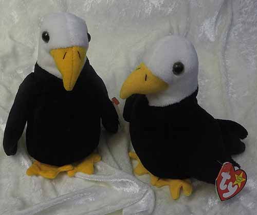 Baldy Eagle