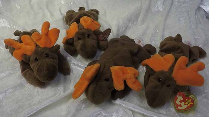 Chocolate Moose