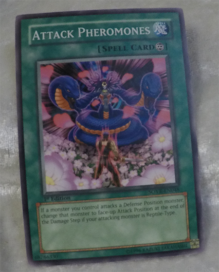 Attack Pheromones 1st SOVR-EN048
