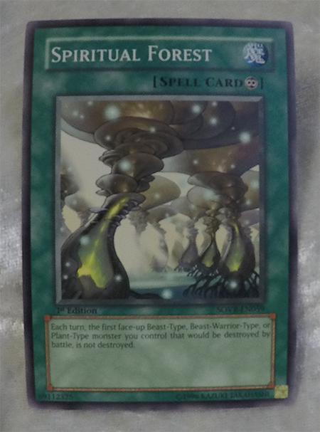 Spiritual Forest 1st SOVR-EN059